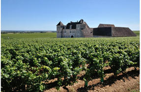 Vignes de Côte-d'Or et Château du Clos Vougeot (21) - Copyright © Fotolia - Gilles Oster